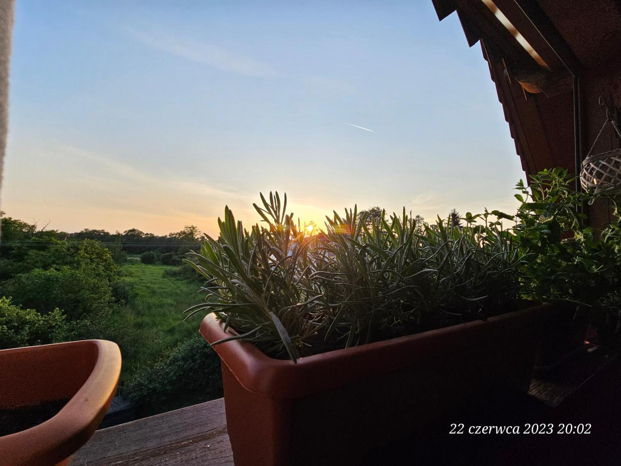 Singera Apartment
